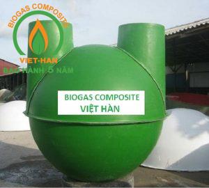 be biogas composite (5)