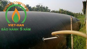 be biogas hdpe (1)