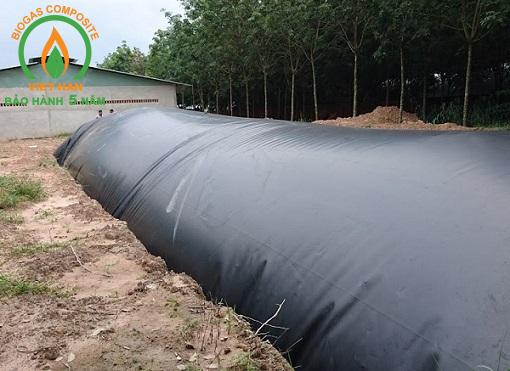 be biogas hdpe (2)