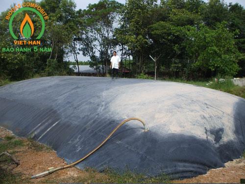 be biogas hdpe (3)