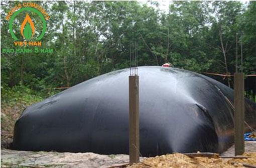 be biogas hdpe (4)